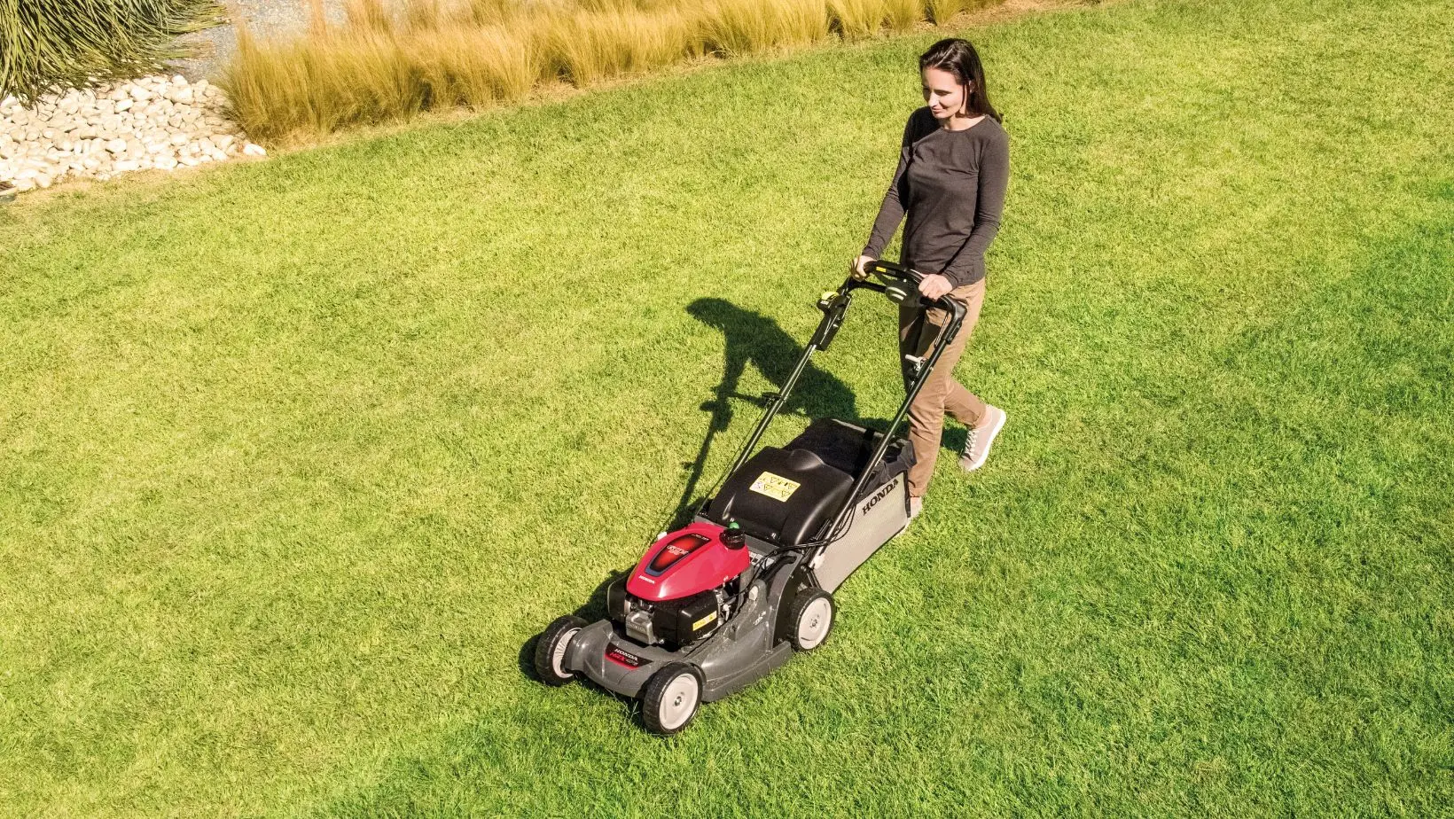 lawn