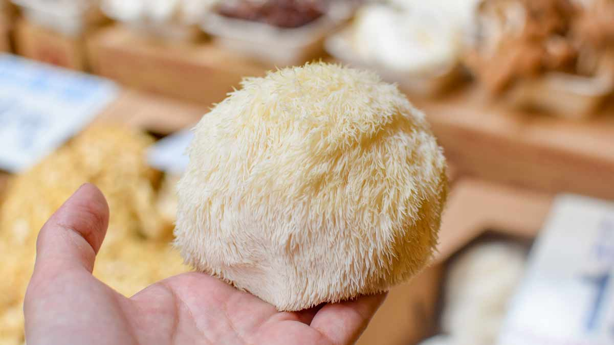 How Lions Mane Supplements Can Boost Your Mental Clarity and Focus