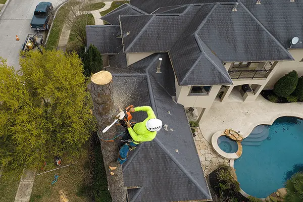 5 Primary Services You Might Need For Your Home