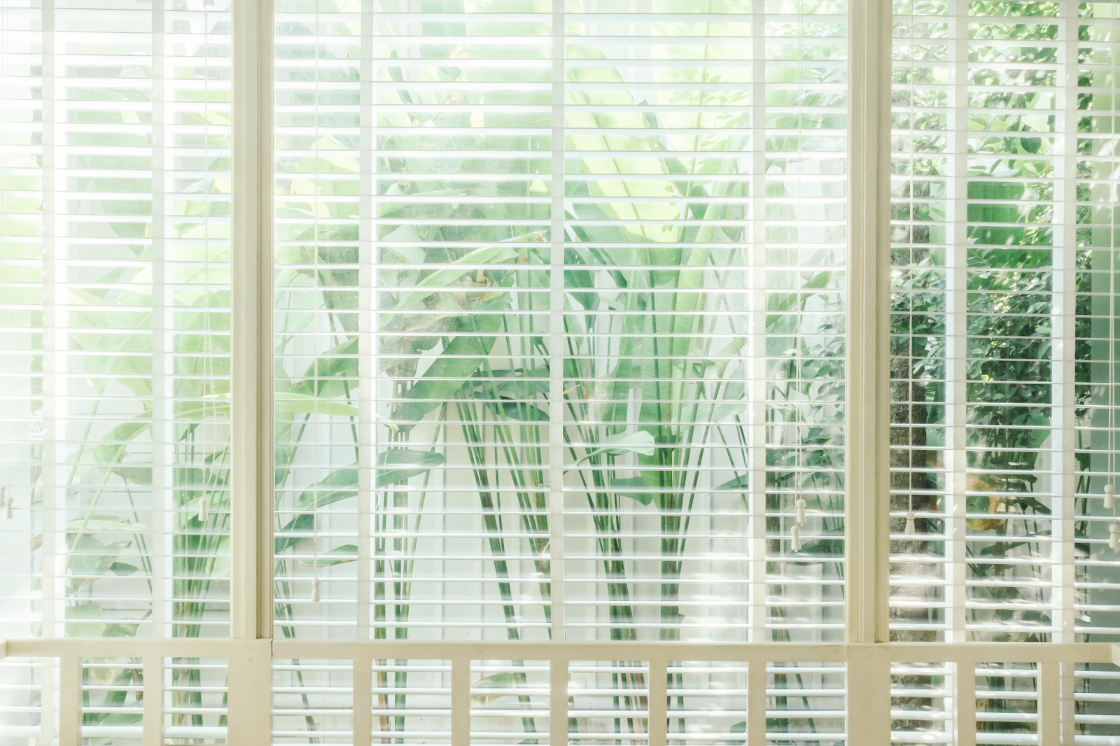 Blackout Bliss: How Window Shades Can Improve Your Sleep Quality